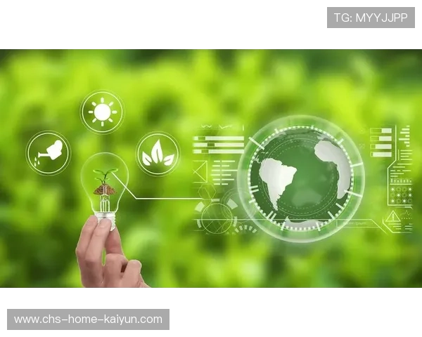 太阳核心渐趋稳定——迈向可持续能源的未来